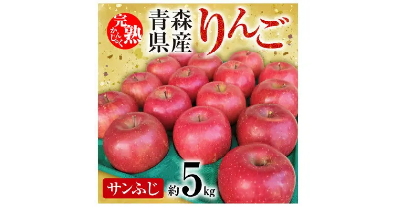 【ふるさと納税】「青森県五戸町産」サンふじりんご　約5kg(12～20玉)【配送不可地域：離島・沖縄県】【1101259】