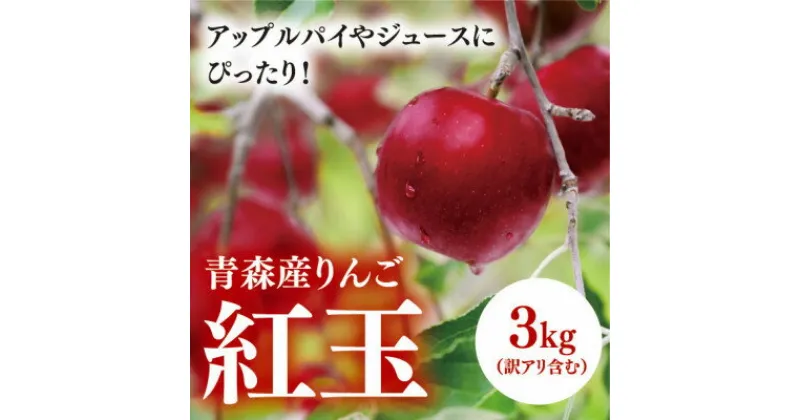 【ふるさと納税】【青森産りんご】紅玉　約3kg(訳アリ含む)【配送不可地域：離島・沖縄県】【1357285】