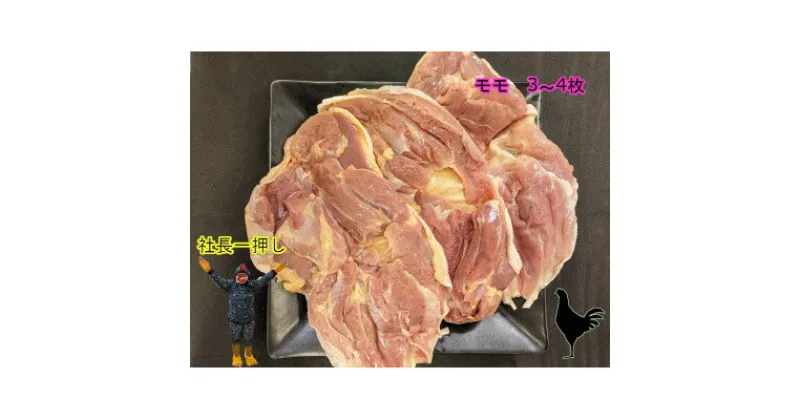 【ふるさと納税】青森シャモロックもも肉　1kg　冷凍【配送不可地域：離島・沖縄県】【1496080】