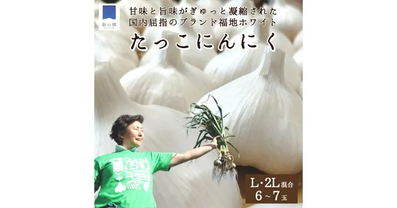 【ふるさと納税】【2024/10/21より出荷開始】日本一たっこにんにく・6～7玉（青森県田子町産にんにくL～2L）　薬味