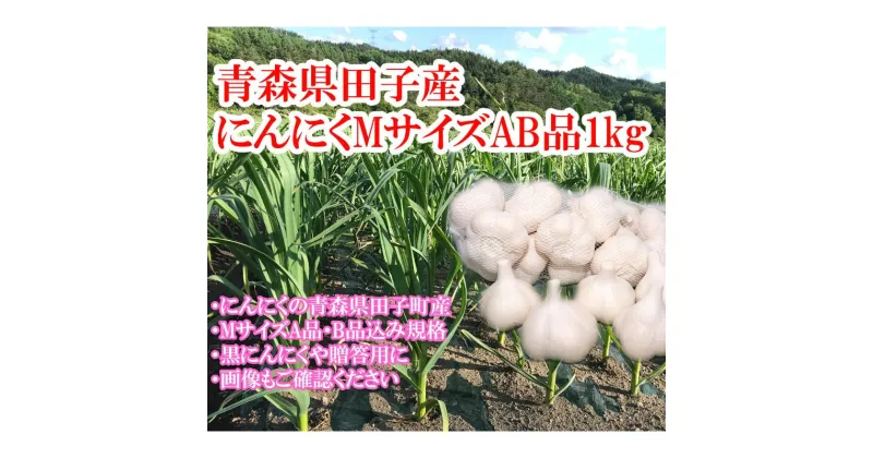 【ふるさと納税】田子産にんにく約1kg（MサイズA～B品）　薬味・野菜・根菜・加工食品・乾物　お届け：～2025年4月上旬