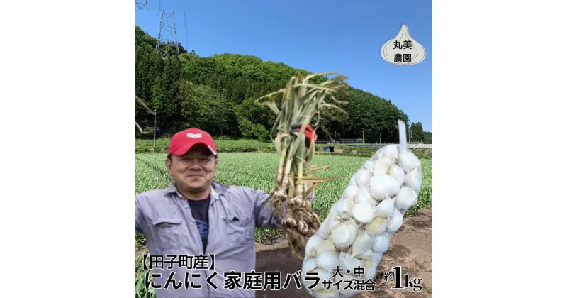 【ふるさと納税】丸美農園 田子町産にんにく家庭用バラ約1kg（大・中サイズ混合）　薬味・野菜・根菜・加工食品・乾物　お届け：2024年10月上旬から2025年5月31日まで