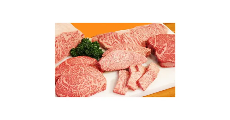 【ふるさと納税】幻の田子牛 逸品セットA/牛肉1.1kg特製タレ付　 お肉 牛肉 牧場 放牧 肥育 厳選 最上級 幻 信頼 極上 ビーフ 美味しい きめ細かい サシ 上質 脂 上品 肉汁 たれ 調味料