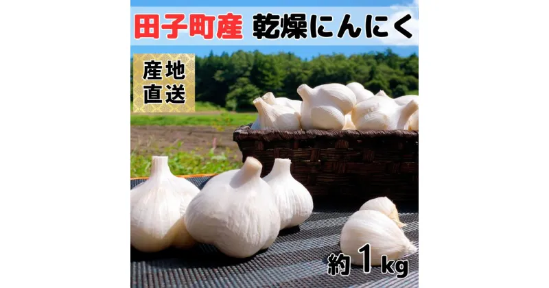 【ふるさと納税】青森県田子町産にんにく(乾燥) B品 M＆Lサイズ 約1kg　 薬味 にんにく 野菜 　お届け：2024年11月上旬から2025年3月中旬まで