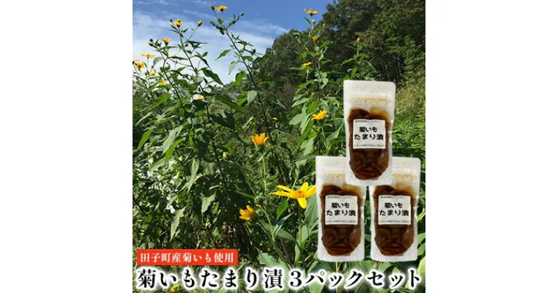 【ふるさと納税】菊いもたまり漬3パックセット【田子町産菊いも使用】　 お漬物 食物繊維 シャキシャキ 食感 ご飯のお供 水溶性食物繊維 イヌリン 腸内環境 糖尿病予防 天然のインスリン お酒のあて 漬物