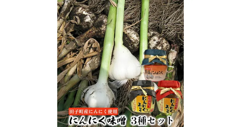 【ふるさと納税】にんにく味噌3種セット【田子町産にんにく使用】　 薬味 調味料 万能味噌 炒め物 煮物 ごはんのお供 味付け 田子産にんにく使用 和食 洋食 炒め物 煮物 ピリ辛 甘口 こうじ