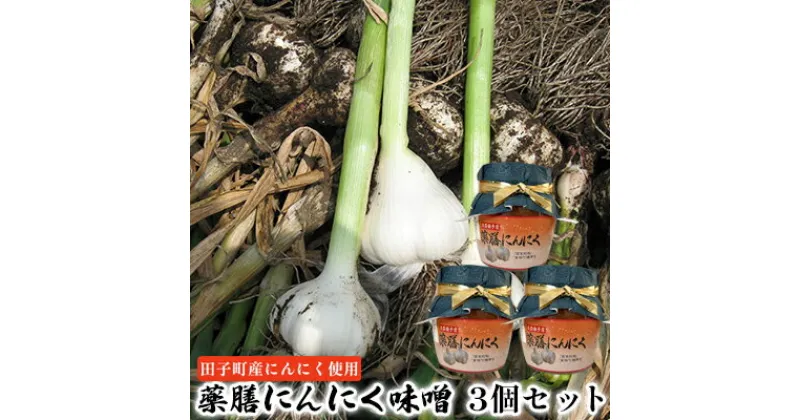 【ふるさと納税】薬膳にんにく味噌3個セット【田子町産にんにく使用】　 薬味 調味料 ごはんのお供 味付け 田子産にんにく使用 粗みじん切り こうじ 甘い味噌 コク おにぎりの具