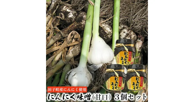 【ふるさと納税】にんにく味噌（甘口）3個セット【田子町産にんにく使用】　 薬味 調味料 万能味噌 炒め物 煮物 ごはんのお供 味付け 田子産にんにく使用 和食 洋食 炒め物 煮物 甘い コク