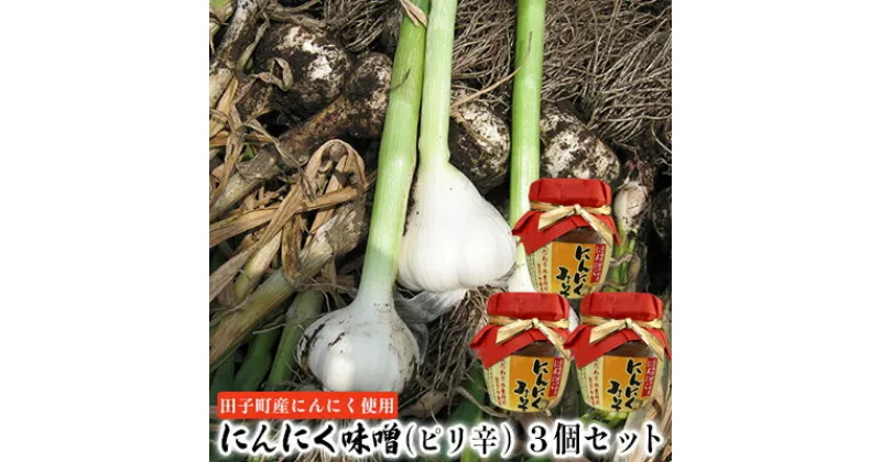 【ふるさと納税】にんにく味噌（ピリ辛）3個セット【田子町産にんにく使用】　 薬味 調味料 万能味噌 辛味 ピリ辛 炒め物 煮物 ごはんのお供 味付け 田子産にんにく使用 和食 洋食 炒め物 煮物