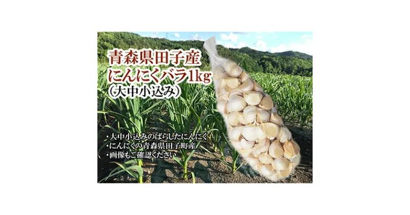 【ふるさと納税】青森県田子産にんにくバラ（訳あり）約1kg　お届け：～2025年4月上旬