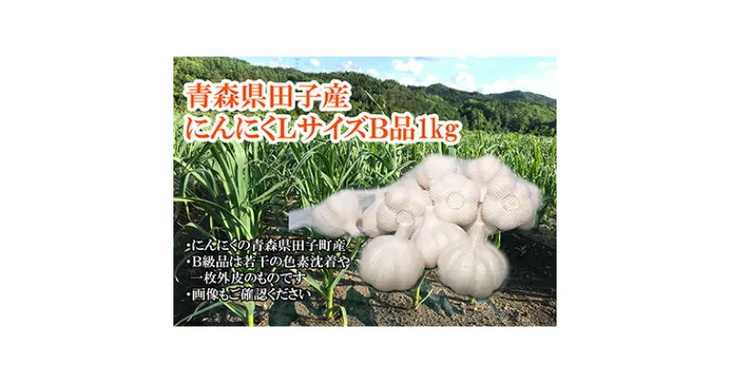 【ふるさと納税】青森県田子産にんにくLサイズB品 約1kg　 田子町 　お届け：～2025年4月上旬