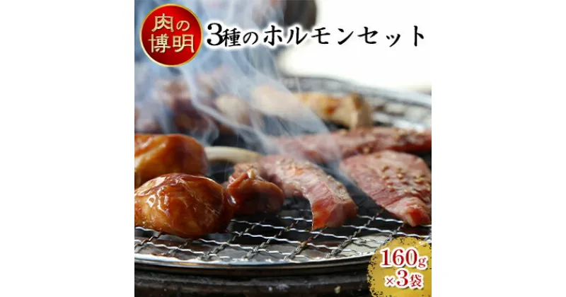 【ふるさと納税】【ヤキニクストック】3種のホルモンセット 160g×3袋【肉の博明】【焼肉セット】【国産】　 牛肉 ホルモン 肉の加工品 豚ホルモン 味付け肉 テッチャン コプチャン 焼肉 一人焼肉 ストック