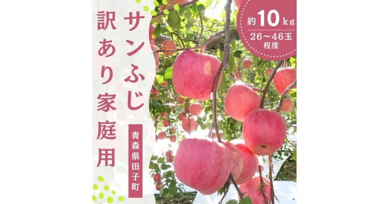 【ふるさと納税】12月 田子の家庭用サンふじ 約10kg【訳あり】【青森りんご・長畝正幸さん生産直送・12月】　お届け：2024年12月1日～2024年12月28日まで