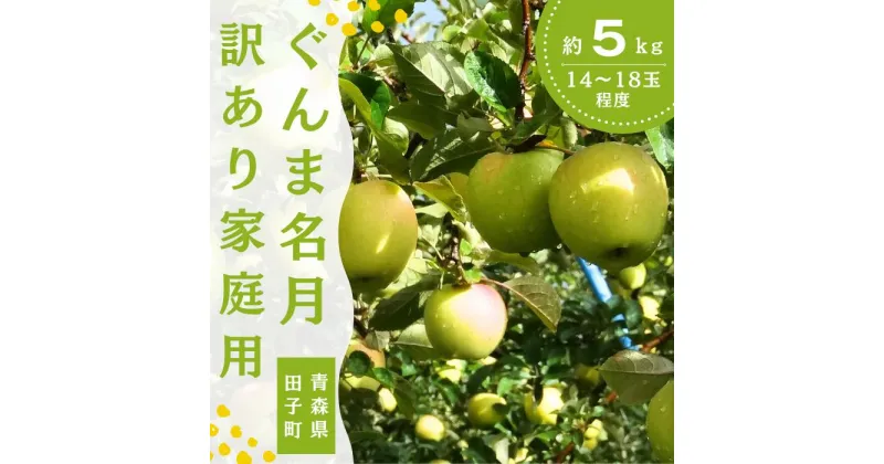 【ふるさと納税】11月 田子の家庭用ぐんま名月 約5kg【訳あり】【青森りんご・長畝正幸さん生産直送・11月】　お届け：2024年11月20日～2024年12月20日まで