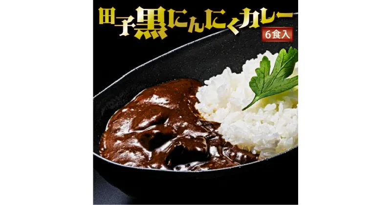 【ふるさと納税】田子黒にんにくカレー 6食入