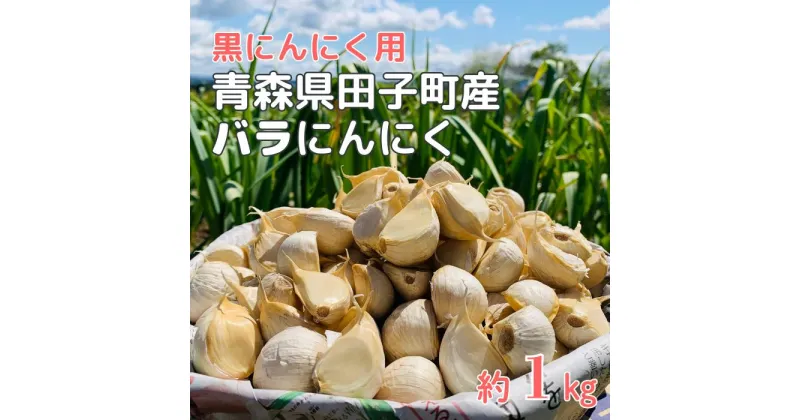 【ふるさと納税】青森県田子町産 黒にんにく用バラにんにく(乾燥) 約1kg　薬味　お届け：2024年11月上旬から2025年3月中旬まで