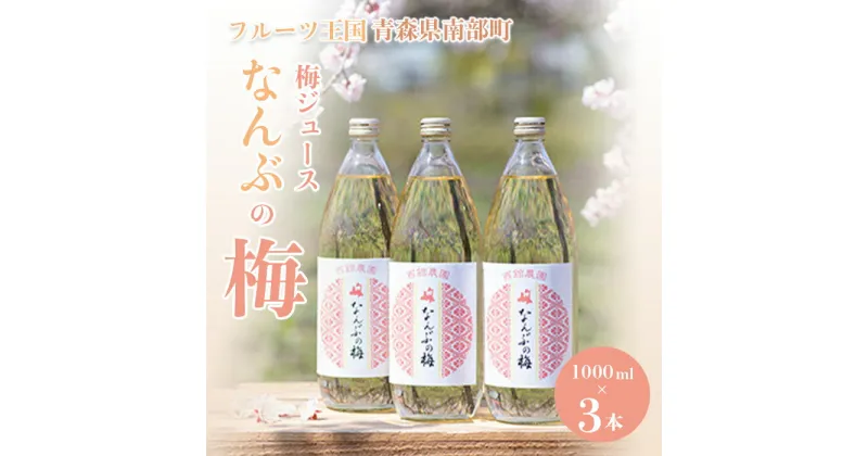 【ふるさと納税】青森県 南部町の梅ジュース 「なんぶの梅」 (1000ml×3本) 【NPO法人 青森なんぶの達者村】 フルーツ王国 梅 ウメ うめ うめジュース ウメジュース 梅ジュース 青森 南部町 三戸 南部 1L 1ℓ 豊後梅 セット F21U-031