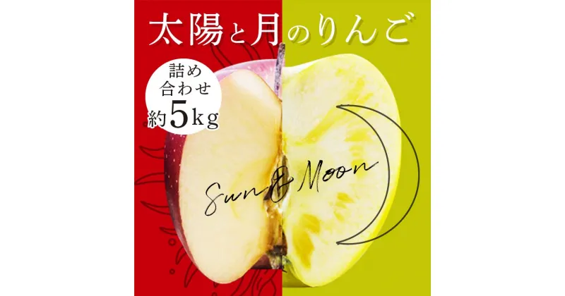 【ふるさと納税】 青森りんご ぐんま名月 サンふじ 月と太陽のりんご詰め合わせ 約5kg 【泉山果樹園】 サン ムーン リンゴ 林檎 アップル あおもり 青森 青森県 南部町 三戸 南部 果物 くだもの フルーツ F21U-065