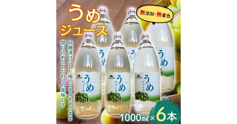 【ふるさと納税】うめジュース (1000ml瓶×6本) 【森の菜園】 フルーツ王国 梅 ウメ うめ ウメジュース 梅ジュース 青森 南部町 三戸 南部 1L 1ℓ 豊後梅 セット F21U-197