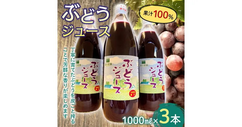 【ふるさと納税】果汁100% ぶどうジュース (1000ml瓶×3本) 【森の菜園】 ブドウ 葡萄 グレープ ブドウジュース 葡萄ジュース フルーツ王国 青森県 南部町産 三戸 南部 1l 1L セット F21U-198