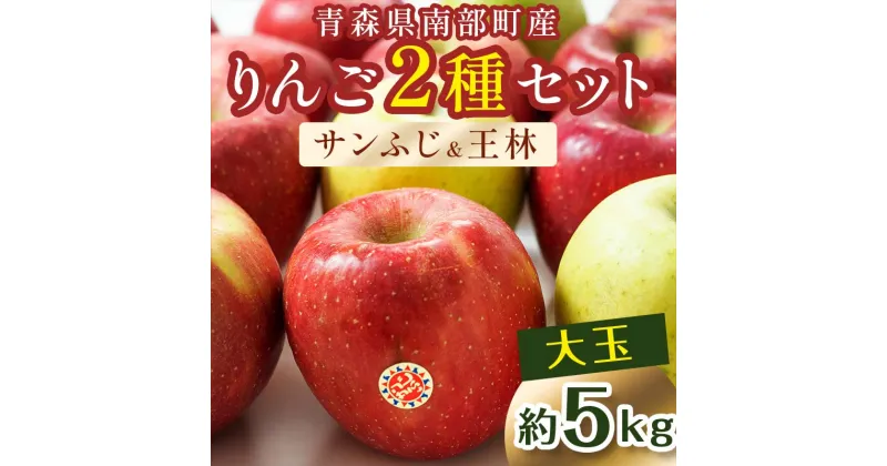 【ふるさと納税】特選 (大玉) 青森産 完熟 りんご 約5kg サンふじ 王林 2種セット 【誠果園】 青森りんご リンゴ 林檎 アップル あおもり 青森 青森県 南部町 三戸 南部 澁川賞受賞 果物 くだもの フルーツ F21U-220