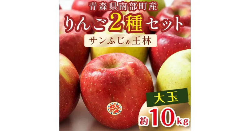 【ふるさと納税】特選 (大玉) 青森産 完熟 りんご 約10kg サンふじ 王林 2種セット 【誠果園】 青森りんご リンゴ 林檎 アップル あおもり 青森 青森県 南部町 三戸 南部 澁川賞受賞 果物 くだもの フルーツ F21U-433