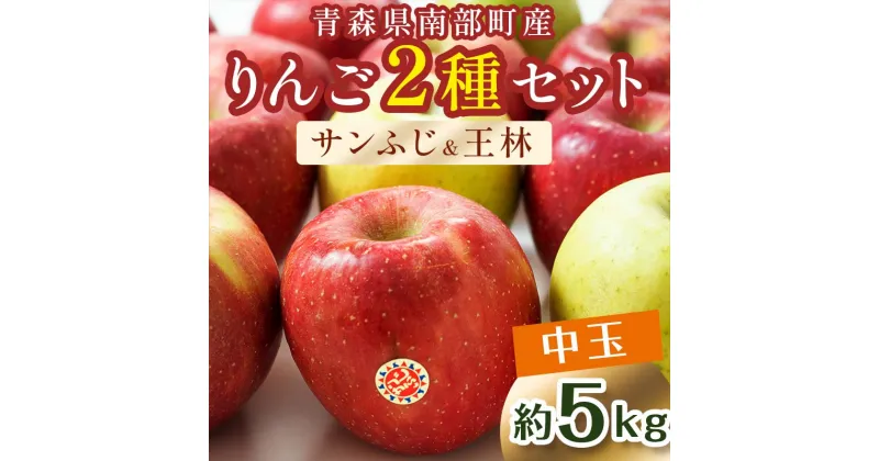 【ふるさと納税】特 (中玉) 青森産 完熟 りんご 約5kg サンふじ 王林 2種セット 【誠果園】 青森りんご リンゴ 林檎 アップル あおもり 青森 青森県 南部町 三戸 南部 澁川賞受賞 果物 くだもの フルーツ F21U-222