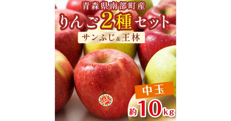 【ふるさと納税】 特 (中玉) 青森産 完熟 りんご 約10kg サンふじ 王林 2種セット 【誠果園】 青森りんご リンゴ 林檎 アップル あおもり 青森 青森県 南部町 三戸 南部 澁川賞受賞 果物 くだもの フルーツ F21U-223