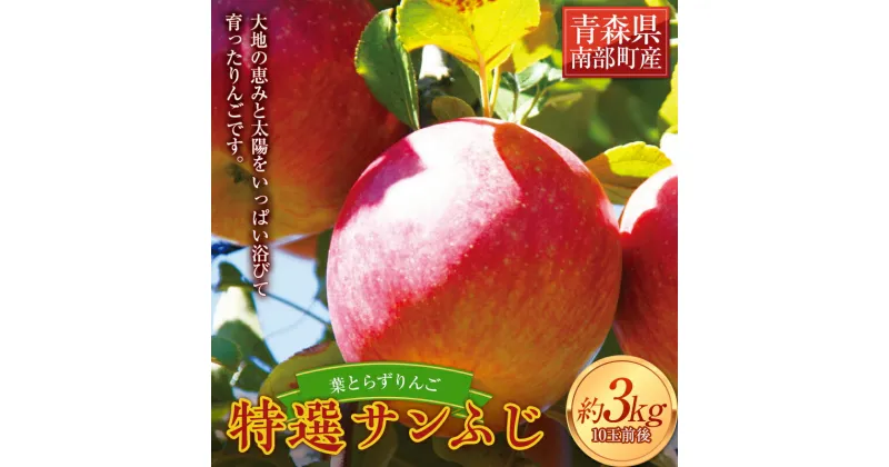 【ふるさと納税】 葉とらずりんご 特選サンふじ 約3kg 【四戸農園】 減農薬 有機肥料 青森りんご リンゴ 林檎 アップル あおもり 青森 青森県 南部町 果物 くだもの フルーツ F21U-260