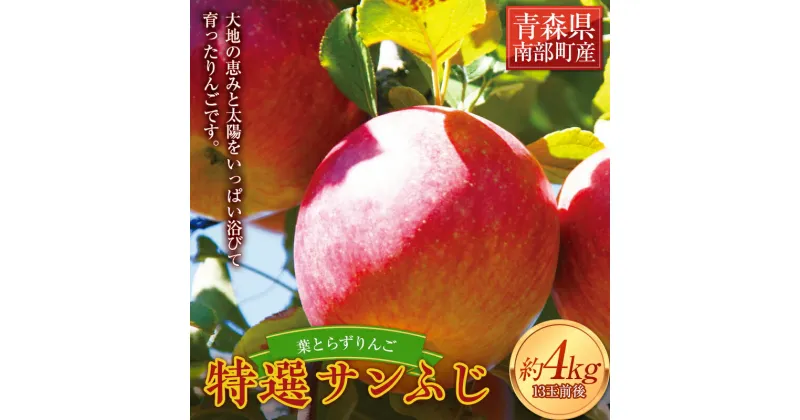 【ふるさと納税】 葉とらずりんご 特選サンふじ 約4kg 【四戸農園】 減農薬 有機肥料 青森りんご リンゴ 林檎 アップル あおもり 青森 青森県 南部町 果物 くだもの フルーツ F21U-261