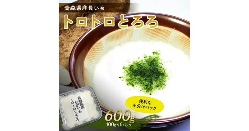 【ふるさと納税】青森県産 長いも　トロトロとろろ　600g(100g×6パック) 【なんぶ農援】便利な小分けパック　無添加 F21U-257