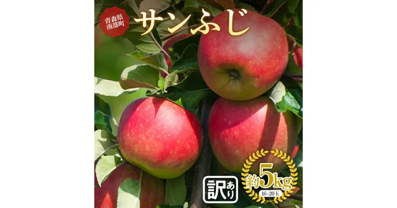 【ふるさと納税】《訳あり》青森りんご サンふじ 約5kg（16～20玉） 【マルス果樹園】 リンゴ 林檎 あおもり 青森 青森県 南部町 果物 くだもの アップル フルーツ 訳アリ わけあり ワケアリ 家庭用 規格外 F21U-282