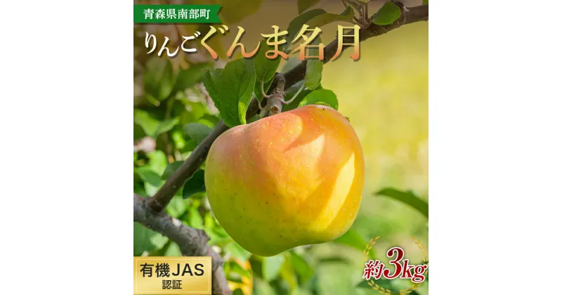 【ふるさと納税】 有機JAS認証 りんご ぐんま名月 約3kg 【和楽堂りんご養生農苑】 青森りんご リンゴ 林檎 アップル あおもり 青森 青森県 南部町 三戸 南部 果物 くだもの フルーツ オーガニック F21U-321