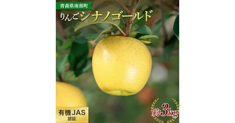 【ふるさと納税】 有機JAS認証 りんご シナノゴールド 約3kg 【和楽堂りんご養生農苑】 青森りんご リンゴ 林檎 アップル あおもり 青森 青森県 南部町 三戸 南部 果物 くだもの フルーツ オーガニック F21U-322