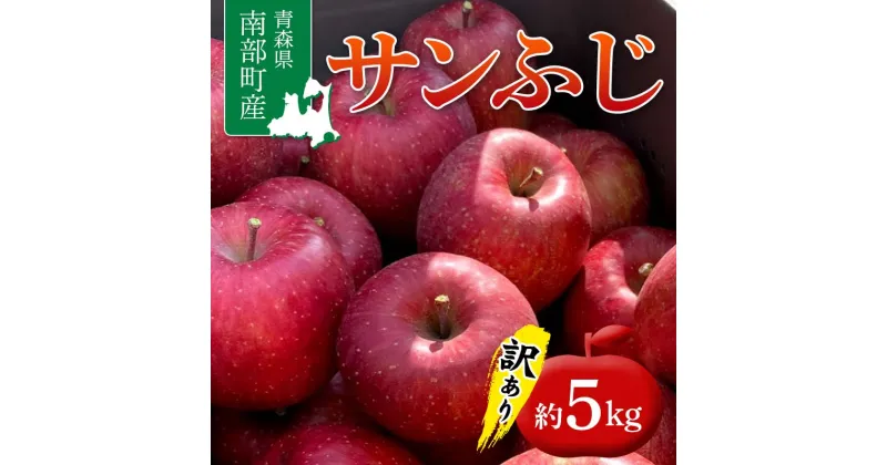 【ふるさと納税】 ≪訳あり≫ 青森県 南部町産 りんご サンふじ 約5kg 【盛果園】 青森りんご リンゴ 林檎 アップル あおもり 青森 南部町 三戸 南部 果物 くだもの フルーツ 家庭用 規格外 訳アリ わけあり ワケアリ F21U-368