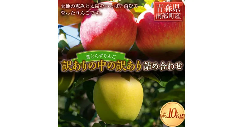 【ふるさと納税】 《訳ありの中の訳あり》 葉とらずりんご詰め合わせ 約10kg 【四戸農園】 減農薬 有機肥料 青森りんご リンゴ 林檎 アップル あおもり 青森 青森県 南部町 果物 くだもの フルーツ 訳あり 訳アリ わけあり 規格外 F21U-362