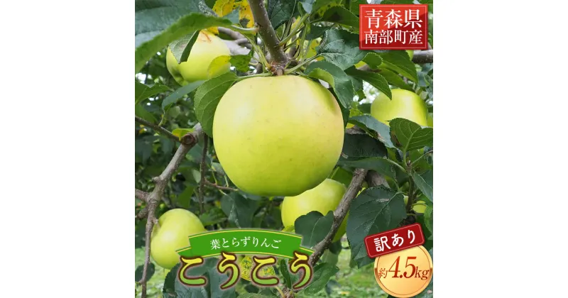 【ふるさと納税】 《家庭用》 葉とらずりんご こうこう 約4.5kg 【四戸農園】 減農薬 有機肥料 青森りんご リンゴ 林檎 アップル あおもり 青森 青森県 南部町 果物 くだもの フルーツ 訳あり 訳アリ わけあり 規格外 F21U-369