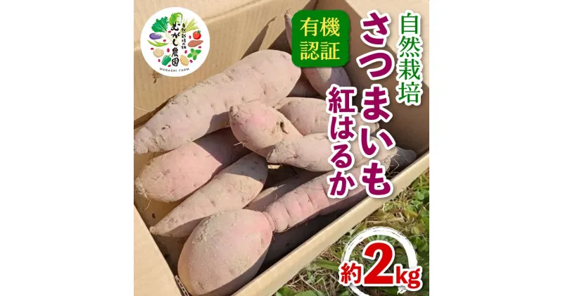 【ふるさと納税】 有機認証 自然栽培 さつまいも（紅はるか） 約2kg 【むがし農園】 サツマイモ 薩摩芋 焼芋 やきいも 焼きいも スイーツ おやつ デザート オーガニック F21U-375