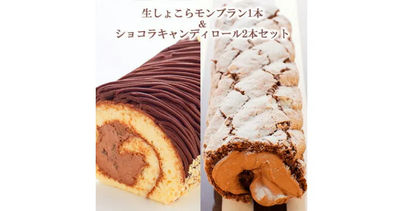 【ふるさと納税】ケーキ 生しょこらモンブラン 1本 ＆ ショコラキャンディロール 2本 セット 菓子 お菓子 スイーツ デザート ロールケーキ 洋菓子 生菓子 モンブラン 食べ比べ ベルギー チョコ チョコレート ガーナ　 盛岡市