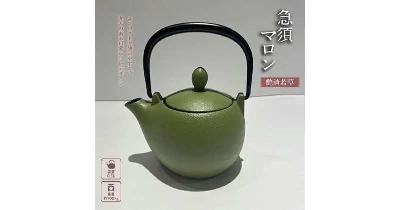 【ふるさと納税】南部鉄器 急須 マロン 艶消若草 岩鋳 ティーポット 鉄瓶 鉄器 南部鉄 岩手県 盛岡市 岩手 盛岡 キッチン用品 お茶用品 キッチン雑貨　 岩手県盛岡市