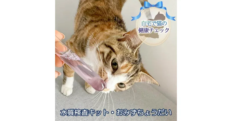 【ふるさと納税】《自宅で猫の健康チェック》水質検査キット・おみずちょうだい　 ペット用品 猫用 愛猫の健康 簡単検査 飲み水水質検査 飲み水検査 水質チェック 軟水 硬水