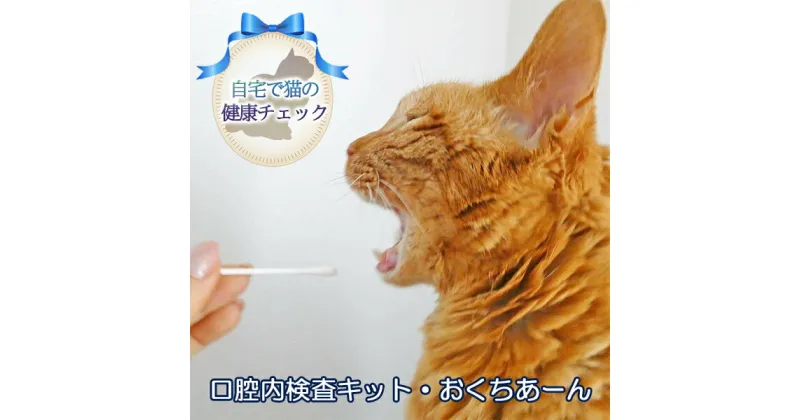 【ふるさと納税】《自宅で猫の健康チェック》 口腔内検査キット・おくちあーん　 ペット用品 猫用 愛猫の健康チェックキット 簡単検査 リスクを見える化 口臭 出血 目視判定