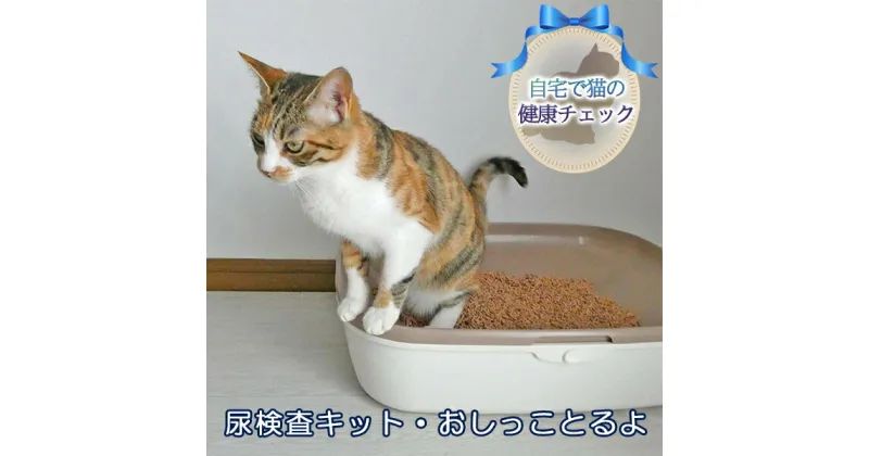 【ふるさと納税】《自宅で猫の健康チェック》尿検査キット・おしっことるよ　 ペット用品 猫用 愛猫の健康チェックキット 簡単検査 リスクを見える化 猫の尿検査キット pH 糖 タンパク ヘモグロビン