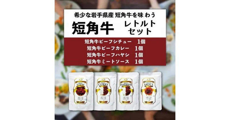 【ふるさと納税】【カナンフーズ】岩手県産短角和牛の本格ディナー レトルト4種お試しセット　 惣菜 レトルトカレー パスタソース 常温保存 備蓄用 ビーフカレー ビーフハヤシ ビーフシチュー ミートソース