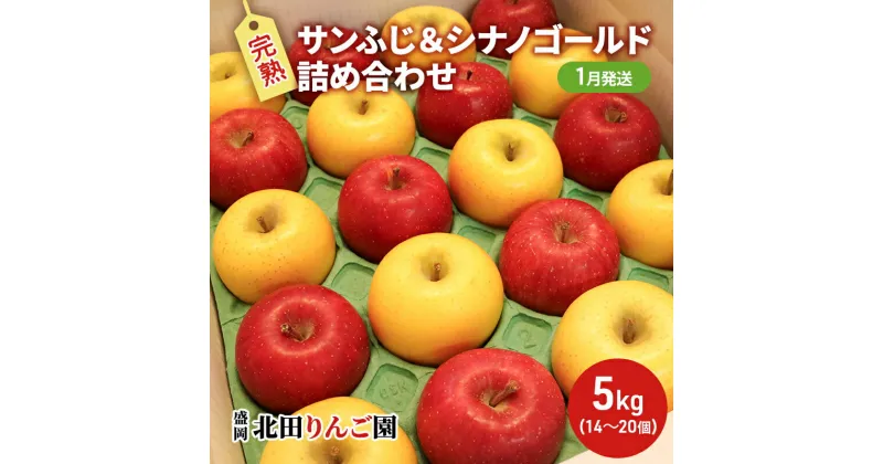 【ふるさと納税】【1月発送】盛岡北田りんご園 完熟サンふじ＆シナノゴールド詰め合わせ 約5kg（14～20玉）　 果物類 王様 果汁 甘 酸味 バランス 完熟 晩生種 代表 黄色い シャッキシャキ 濃厚 人気 貯蔵性 　お届け：2025年1月1日～2025年1月31日