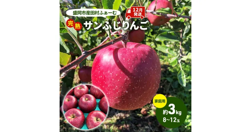 【ふるさと納税】先行予約【12月発送】盛岡市産 田村ふぁーむ 家庭用 完熟 サンふじ りんご 約3kg（6～10玉）　 果物類 フルーツ デザート 果汁 甘い 酸味 バランス 完熟 人気 美味しい 高糖度 　お届け：2024年12月1日～2024年12月25日