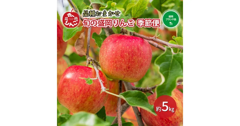 【ふるさと納税】【先行予約】旬の盛岡りんご「季節便」5kgりんご(10月～2月末便)　 果物類 フルーツ デザート 完熟 こだわり ブランド 認定 美味しい 厳選 食べ比べ おススメ 緑 黄色 　お届け：2024年10月1日～2025年2月28日