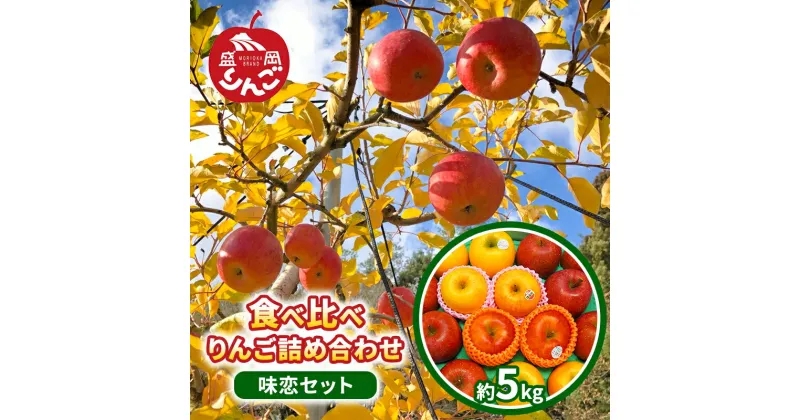 【ふるさと納税】先行予約　朝島観光りんご園 食べ比べ りんご詰め合わせ「味恋セット」約5kg　 果物類 フルーツ デザート 完熟 こだわり ブランド 認定 美味しい 厳選 食べ比べ おススメ 緑 黄色 　お届け：2024年12月10日～2024年12月下旬