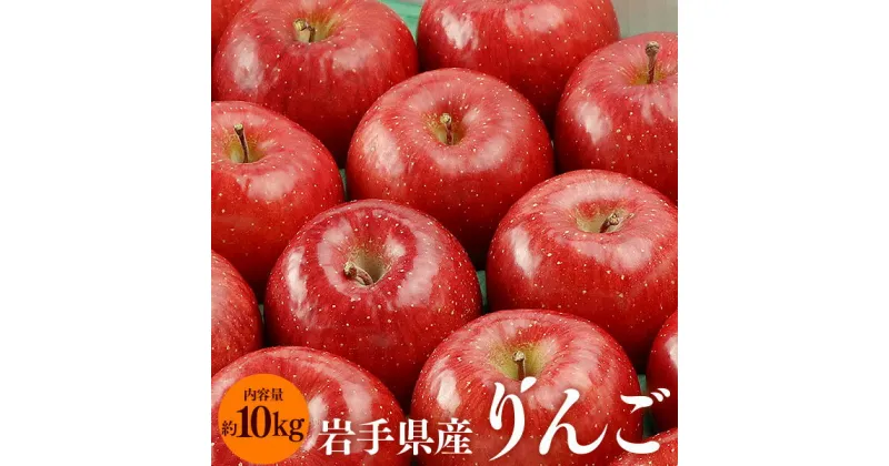 【ふるさと納税】先行予約《2024年12月中旬～発送》ふじむら農園の盛岡りんご『サンふじ』約10kg（ご家庭用）【季節限定・数量限定】28玉～40玉　 果物類 林檎 りんご リンゴ 岩手県産 お菓子 ジュース パイ 蜜ぎっしり 　お届け：2024年12月中旬～2025年2月末