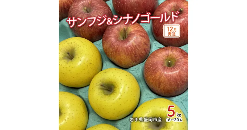 【ふるさと納税】【12月発送】盛岡市産 田村ふぁーむ 家庭用 完熟りんごサンふじ＆シナノゴールド5kg（14～20玉）　果物類・林檎・りんご・リンゴ　お届け：2024年12月1日～2024年12月25日